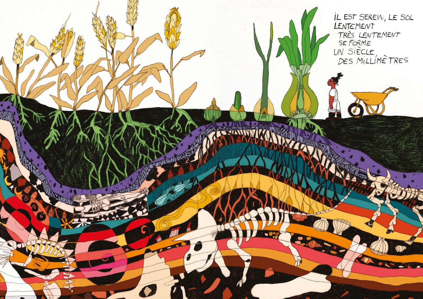 Illustration où on voit des plantes à différents stades de développement pousser sur le sol devant une personne à côté d'une brouette. La plus grande partie de l'image est occupée par les couches souterraines du sol où on voit les racines, différentes couches colorées et des squelettes d'animaux.