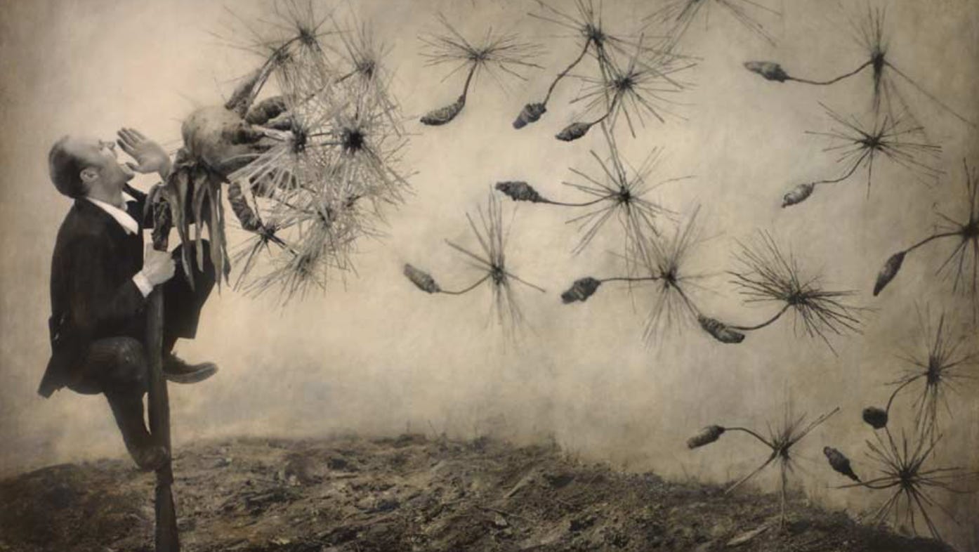 Screen Shot 2024-11-05 at 12.35.29 AM.png