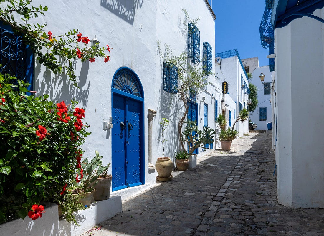 Cobbled street in Sidi Bou Said lined with whitewashed buildings, cobalt doors, and wrought-iron balconies draped in red hibiscus and climbing vines. The afternoon light reveals the village's balance of order and spontaneity, where architecture, flora, and sunlight create living harmony. Cobbled street in Sidi Bou Said lined with whitewashed buildings, cobalt doors, and wrought-iron balconies draped in red hibiscus and climbing vines. The afternoon light reveals the village's balance of order and spontaneity, where architecture, flora, and sunlight create living harmony.