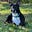 Alan A Friedgood's avatar