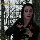 The Dark Side of Joyful Spaces