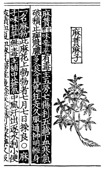 c. 50 CE Too much cannabis leads to seeing devils, Pen-ts'ao Ching