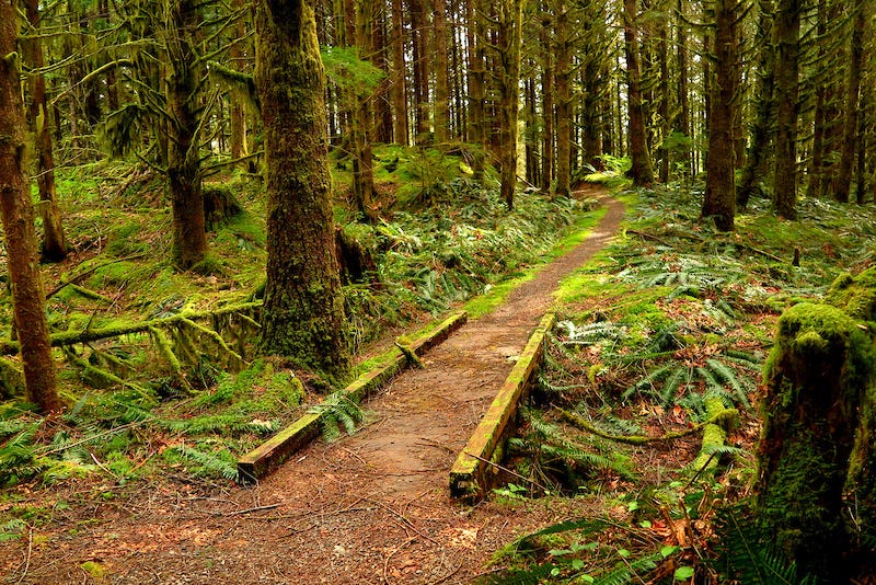 Middle Fork Snoqualmie Mountain Biking Trails | Trailforks