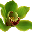 User's avatar