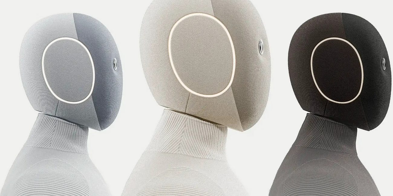 Are Humanoid Robots Ready for the Real World?