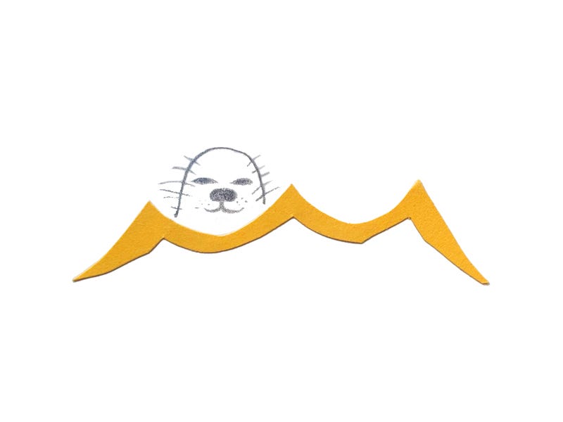 An illustration of a seal looking straight on at the viewer, coming out of a wave made out of yellow construction paper.