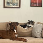 #77 Is tuning out self-care?