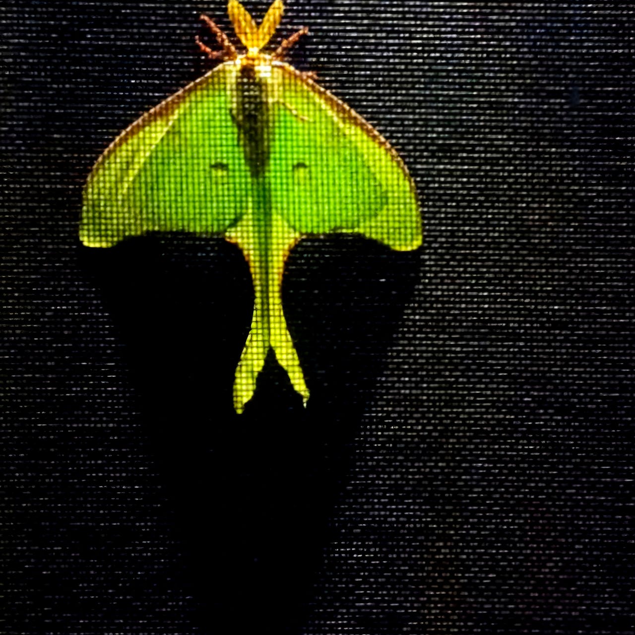 The Power of One Person