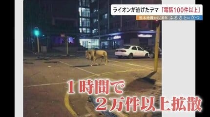 ライオン逃げた」熊本地震のデマ 震度7の裏側で"避難や復旧を妨げた"もう一つの混乱 | 熊本のニュース|RKK NEWS|RKK熊本放送 (1ページ) ライオン逃げた」熊本地震のデマ 震度7の裏側で"避難や復旧を妨げた"もう一つの混乱 | 熊本のニュース|RKK NEWS|RKK熊本放送 (1ページ)