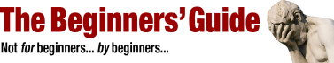 The Beginners' Guide