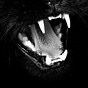 asi.'s avatar