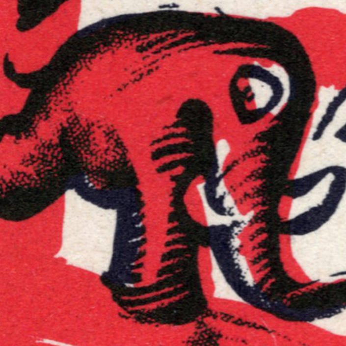 The Domestic Mammoth