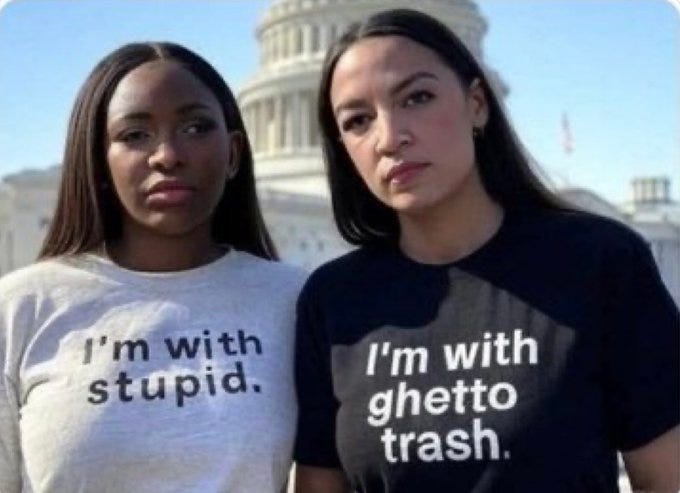 Democrats hire Dumb Entitled Idiots