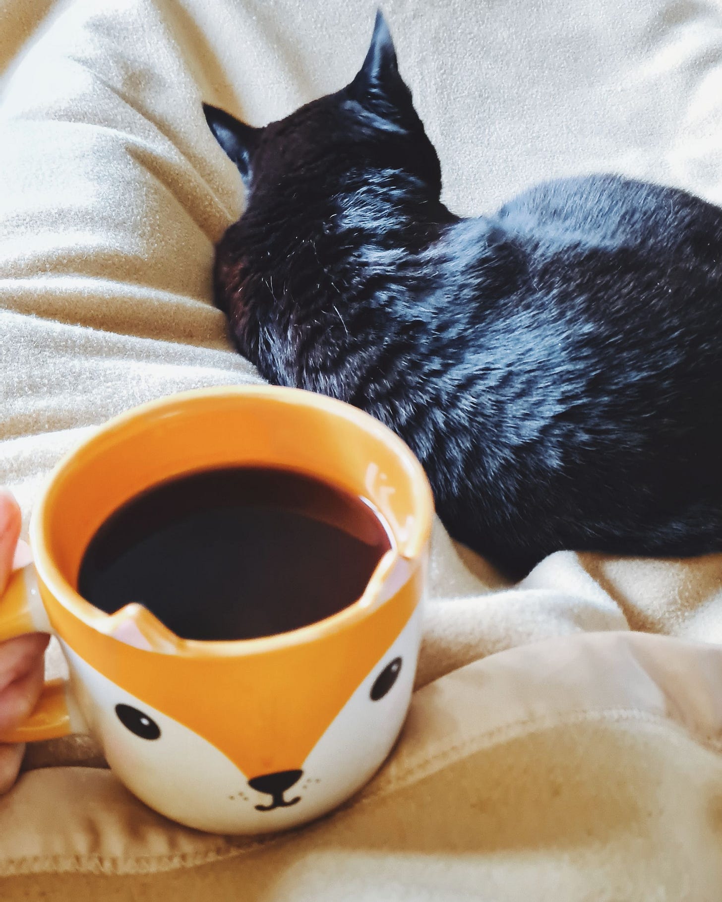 Ebony is sleeping on a blanketed lap, facing away from us. A mug of coffee featuring a cute smiling cat is held up in the foreground. Ebony is sleeping on a blanketed lap, facing away from us. A mug of coffee featuring a cute smiling cat is held up in the foreground.