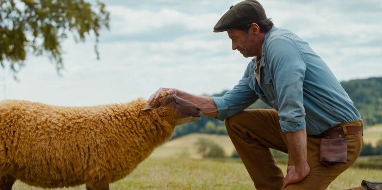 A still from "The Sheep Detectives" movie. Hugh Jackman kneels down in a meadow and pets a shetland sheep on the head.