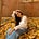 Ananya Aneja.'s avatar