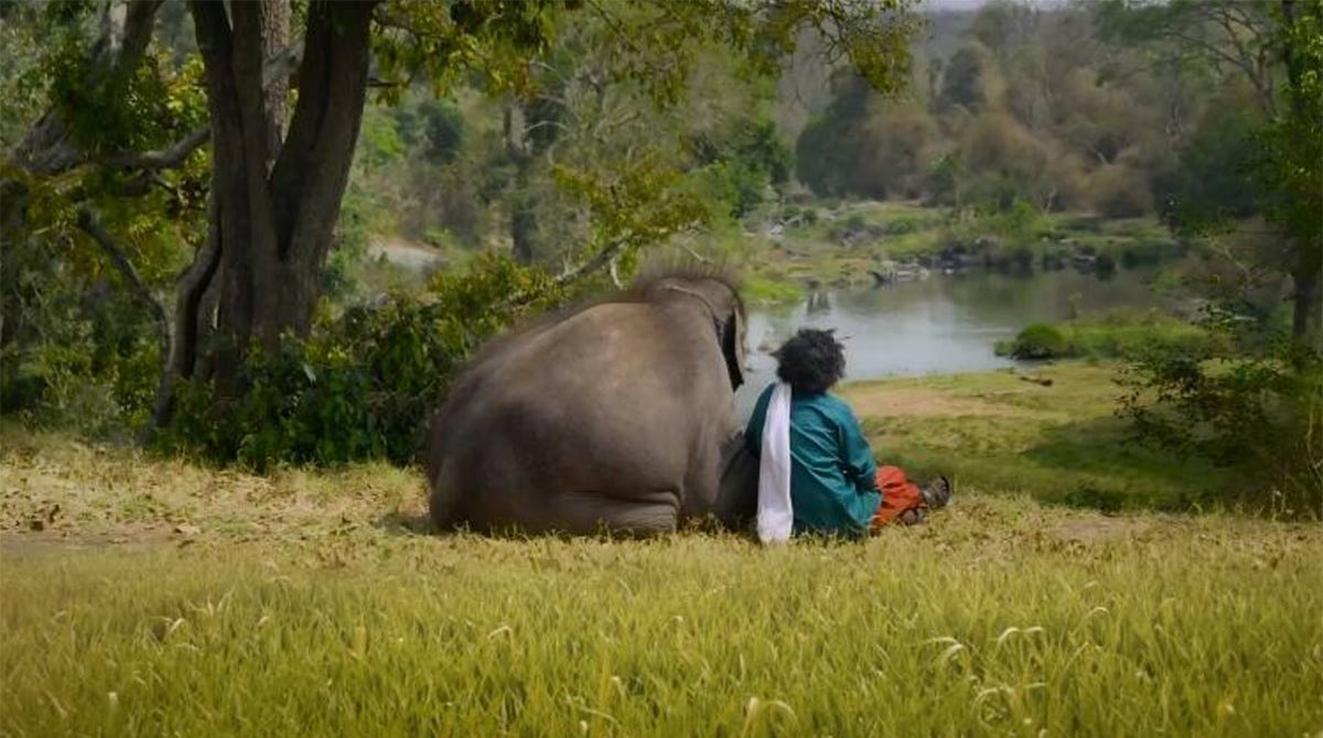 Elephant Whisperers movie still photograph of a man and elephant sitting in a field