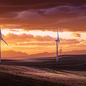Experts baffled by Alberta's renewable energy pause
