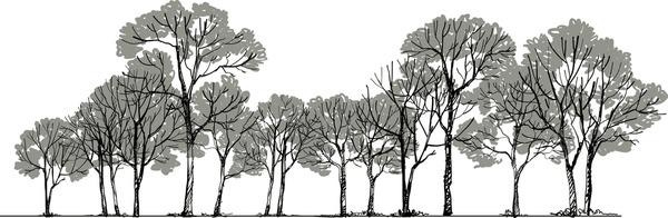 A group of trees with no leaves

Description automatically generated