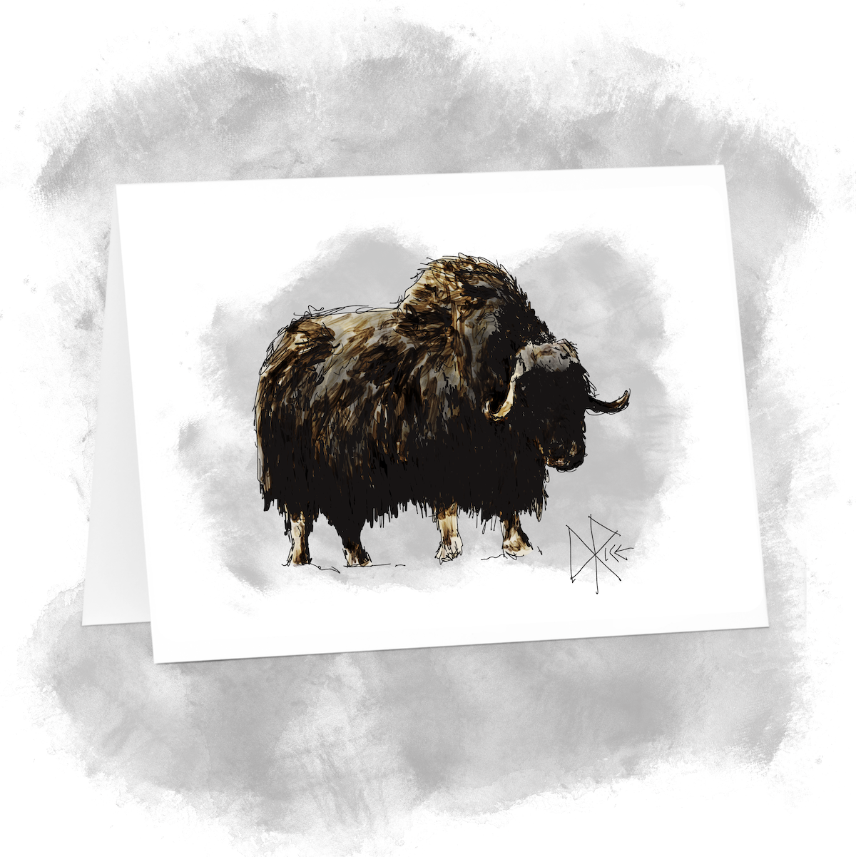 A muskox uses a hoof to kick at the tundra to loosen some grass and moss. Sketch art by Don Rice. A muskox uses a hoof to kick at the tundra to loosen some grass and moss. Sketch art by Don Rice.