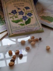 seed scatterer