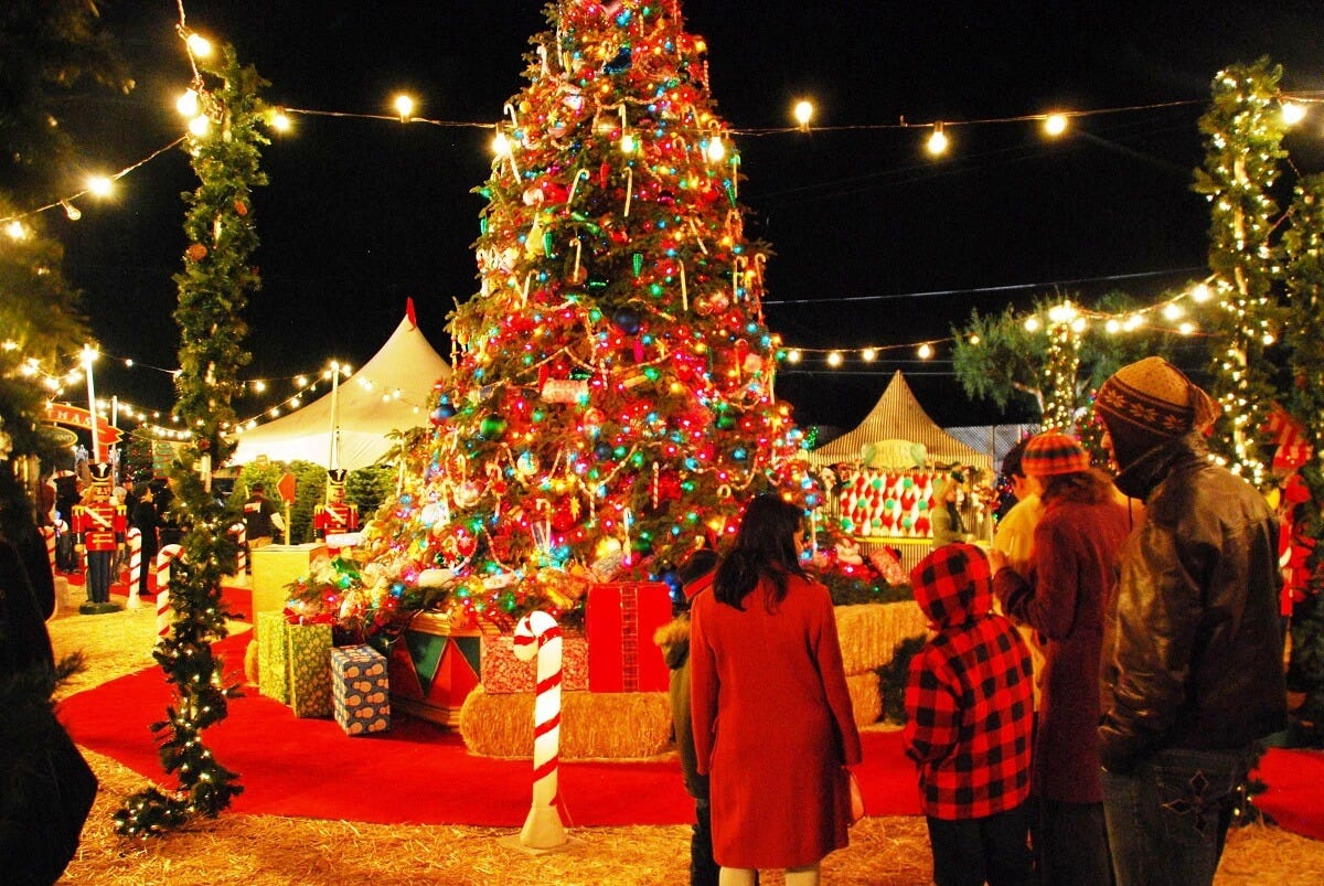 11 Best Places to Visit Christmas Celebration in India - Tusk Travel Blog