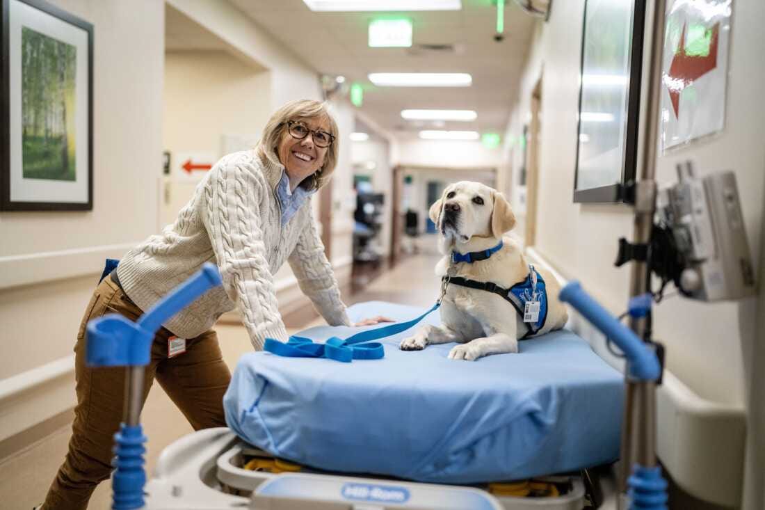Peppi, a Canine Companion dog, takes a break at Denver’s HCA HealthONE Rose medical center with her handler, emergency medicine physician Susan Ryan, in November.