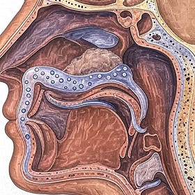 Adenoid Cystic Carcinoma, Male, age 71