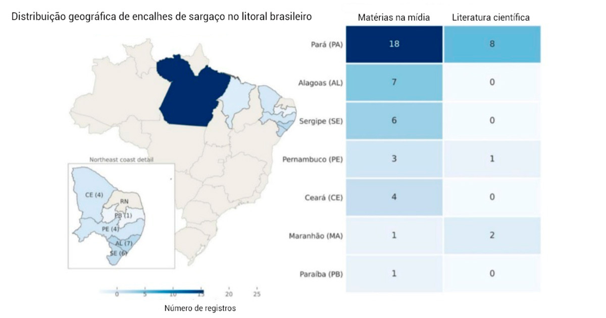 gráfico com ilustração do Brasil ao lado de tabelas em colocração azul e cinza gráfico com ilustração do Brasil ao lado de tabelas em colocração azul e cinza