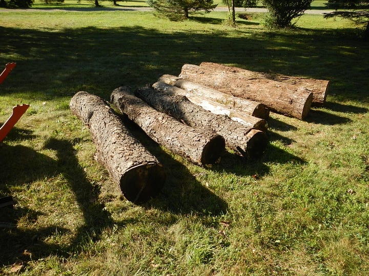 Oak, Cherry and Maple logs, and lumber