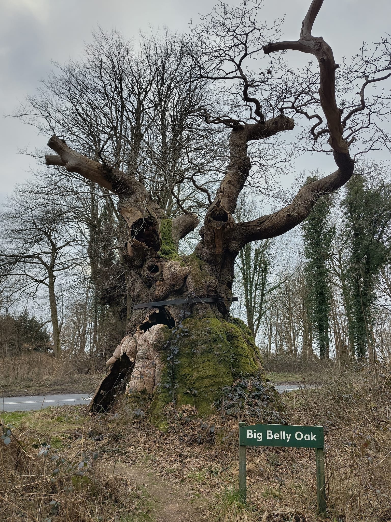 a couple things to know if you are considering buying an old house - Sarah  Tucker, image size:1536x2048