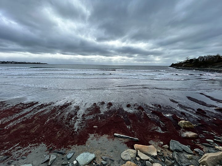 cliffs, mansion, grass, sky, rocks