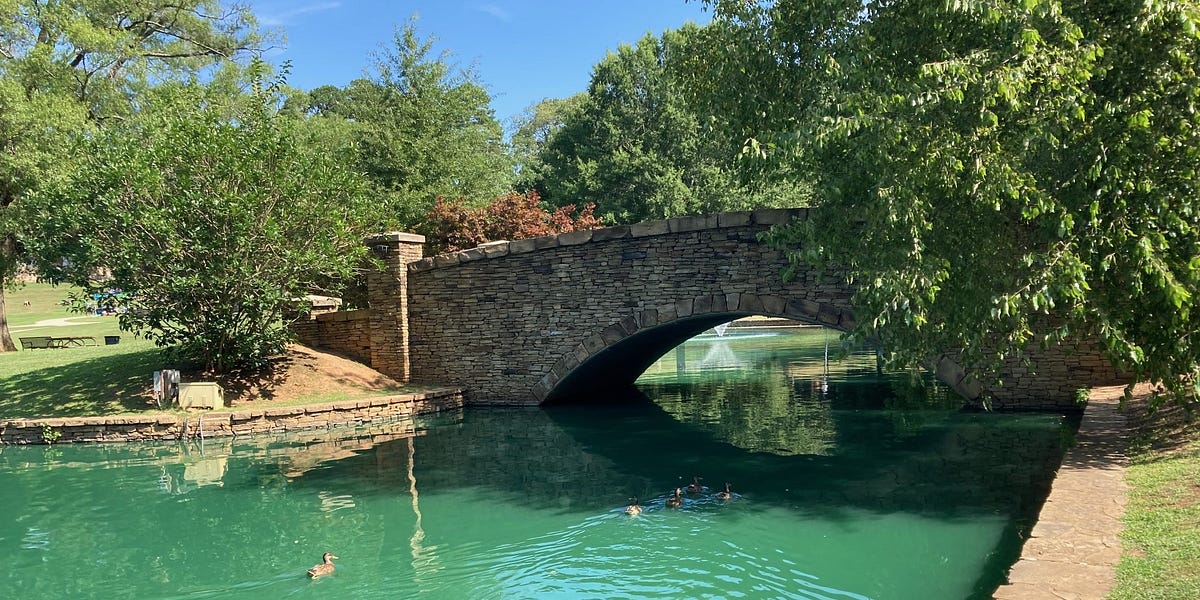 Freedom Park Activities