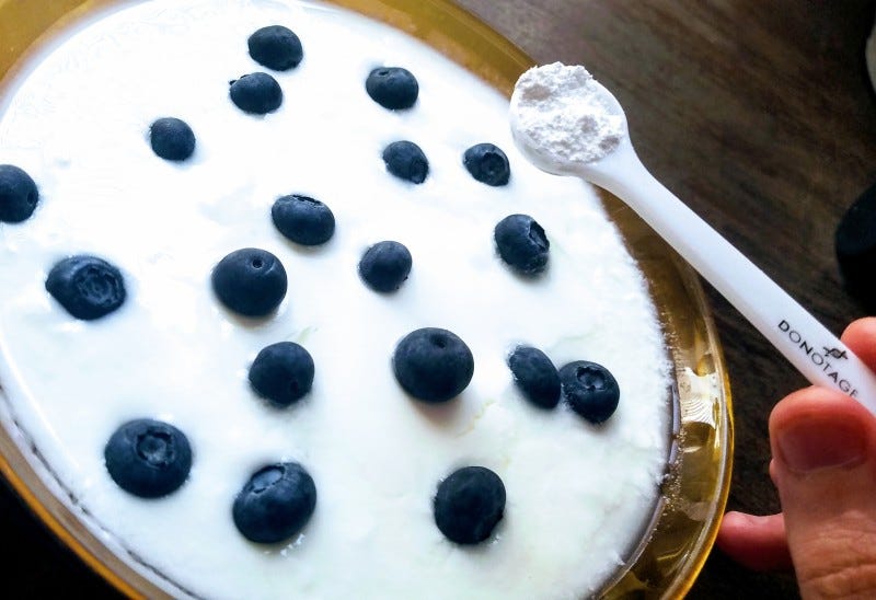 NMN and Bulgarian Yogurt