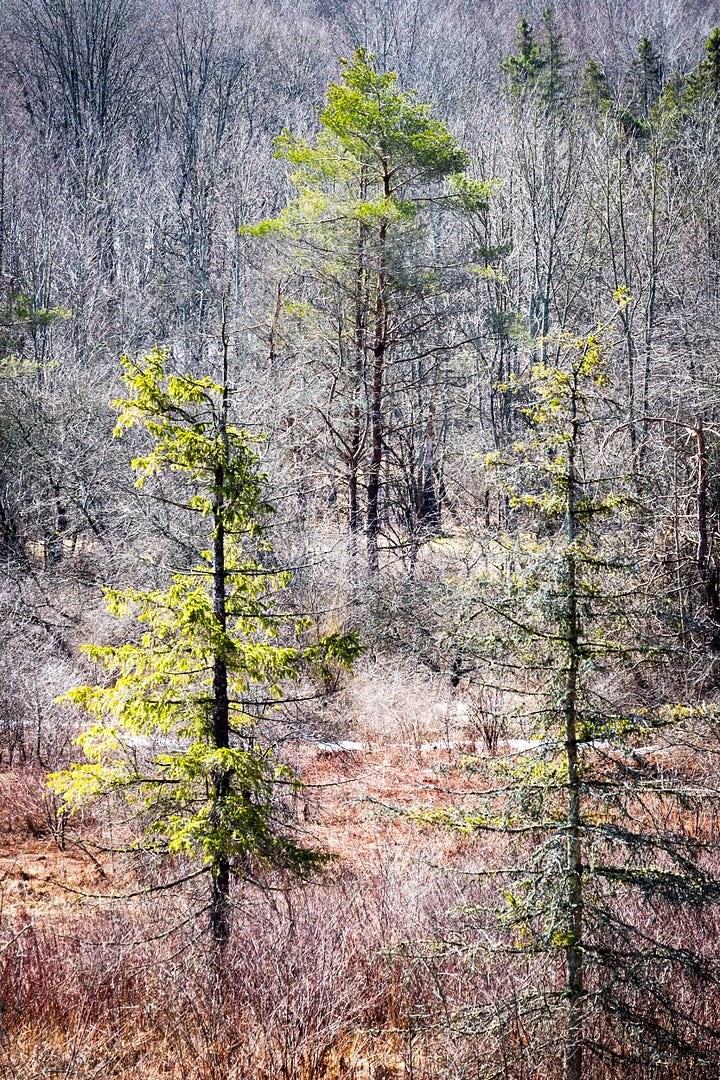 Gradual warming