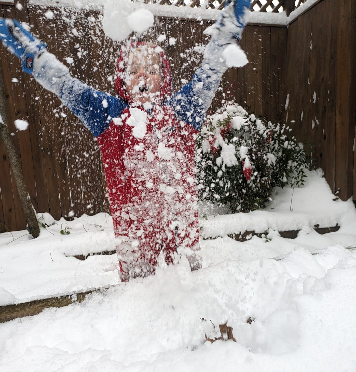 The Snowy Day