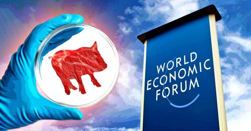 World Economic Forum sign and glove holding lab meat World Economic Forum sign and glove holding lab meat