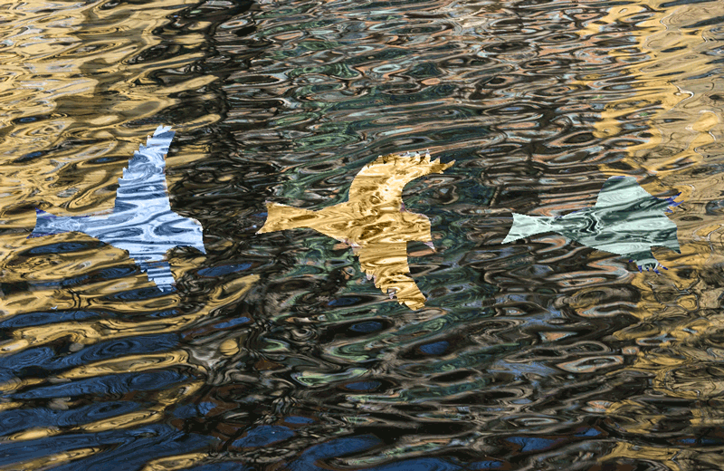 This may contain: the reflection of an airplane in the water This may contain: the reflection of an airplane in the water