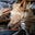 Xanthé 💛 @ Amor Fātī's avatar