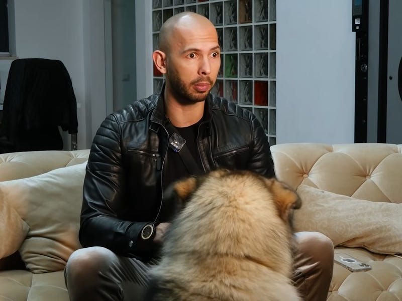 Who Is Andrew Tate, the Influencer Known for Misogynistic Comments? -  Business Insider