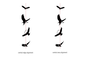 click on image for more information. 