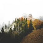 Working Through Seasonal Depression: Mindfulness Practices for Finding Light in the Darker Months