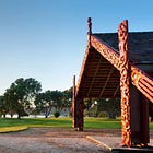 Te Pāti Māori paddles into troubled waters
