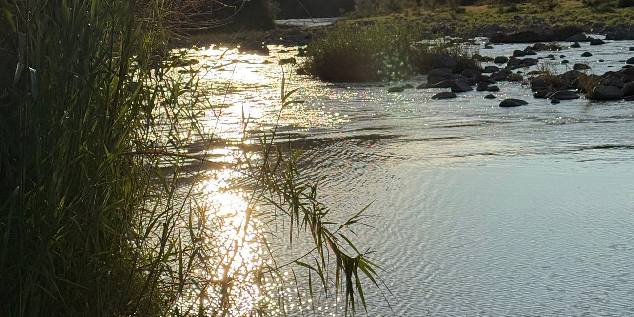 La Junta de los Ríos: Reporter’s Notebook from Presidio and Big Bend