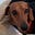 Mtu_wa_kweli's avatar