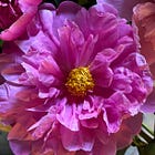 The Art of Returning: Week 4