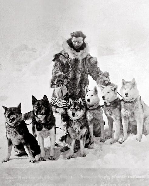 A person with a group of dogs

AI-generated content may be incorrect.
