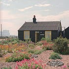 A Garden In the Void