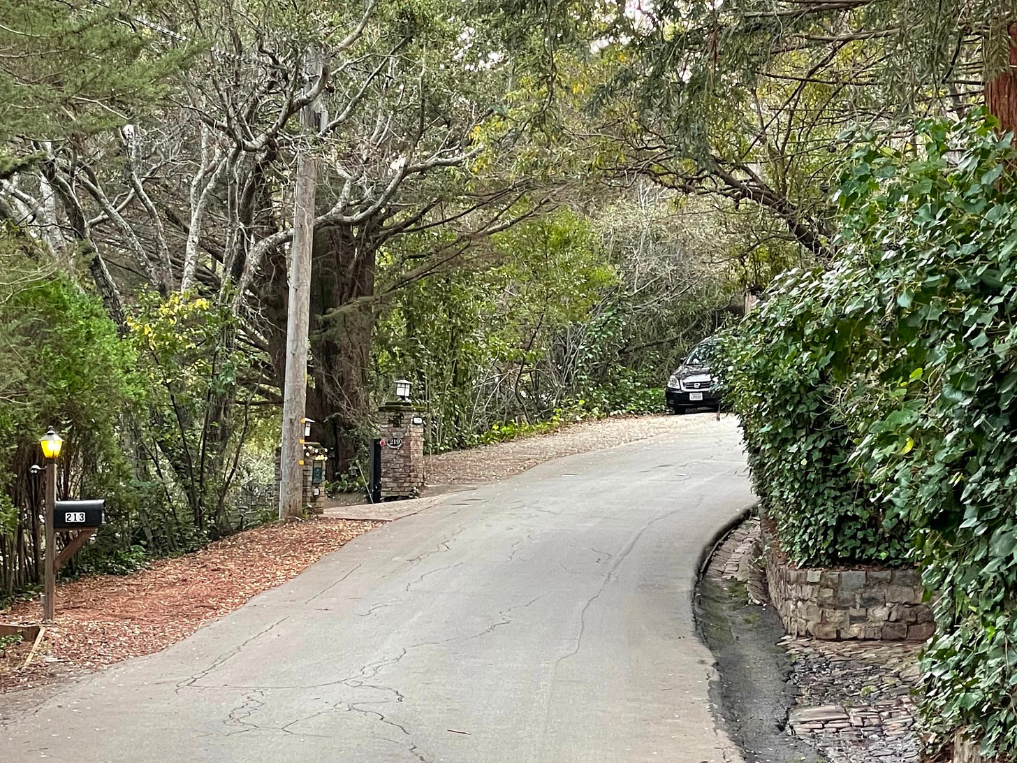 A narrow paved road curving uphill under a dense canopy of trees, flanked by an ivy-covered stone wall on the right and a mailbox with a small lit lamp on the left. A narrow paved road curving uphill under a dense canopy of trees, flanked by an ivy-covered stone wall on the right and a mailbox with a small lit lamp on the left.