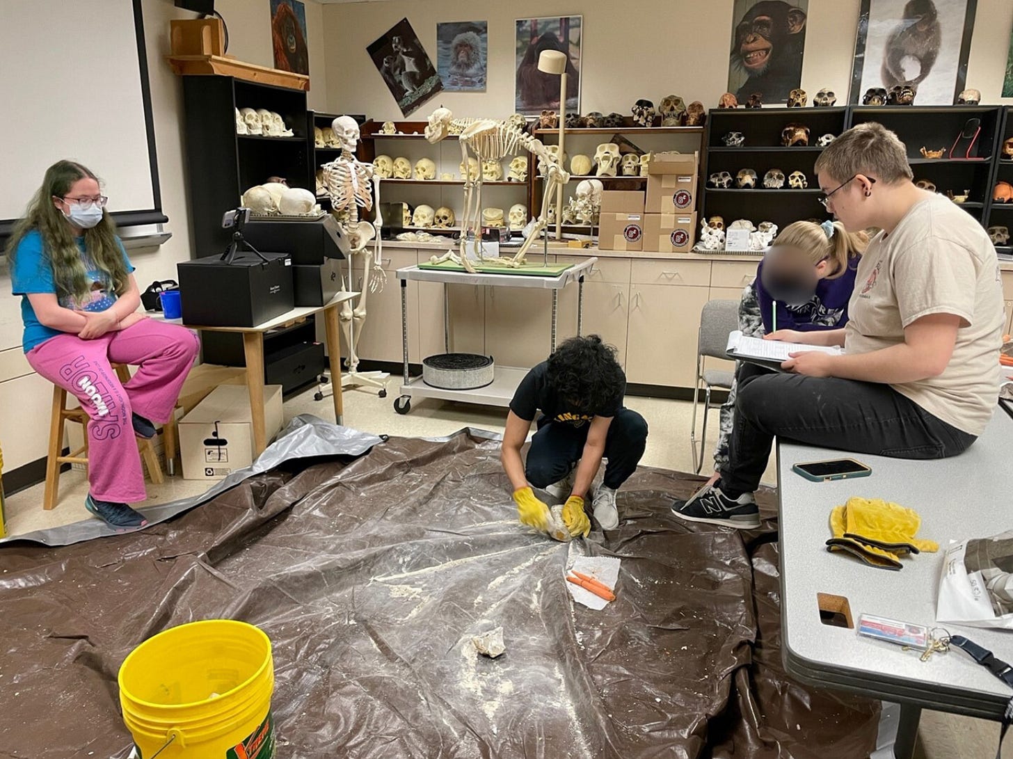 Students observing another student undergo a toolmaking experiment
